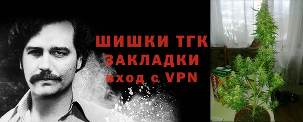 ГАЛЛЮЦИНОГЕННЫЕ ГРИБЫ Дубовка