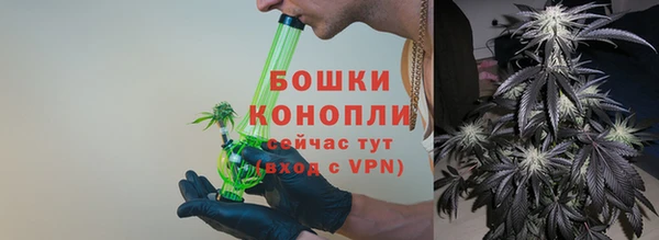 бошки Дмитриев