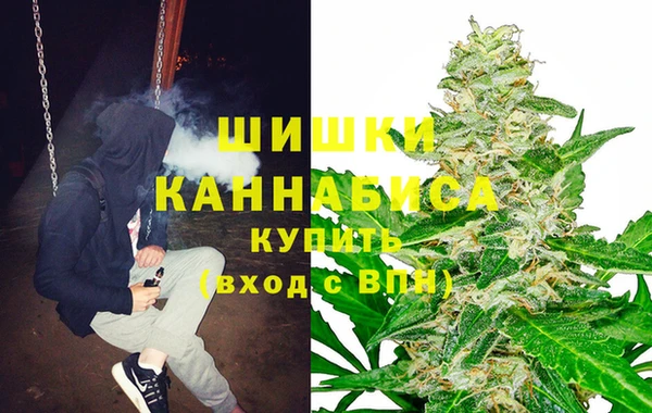 мет Елизово