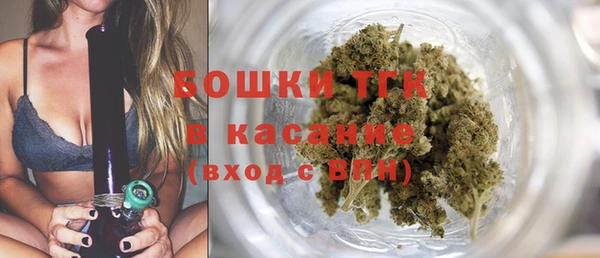 прущие грибы Зеленодольск