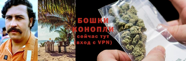 apvp Дмитров