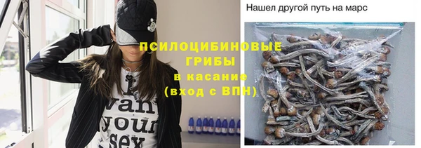 прущие грибы Зеленодольск