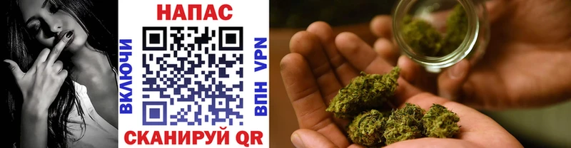 darknet клад  Заполярный  Шишки марихуана SATIVA & INDICA 